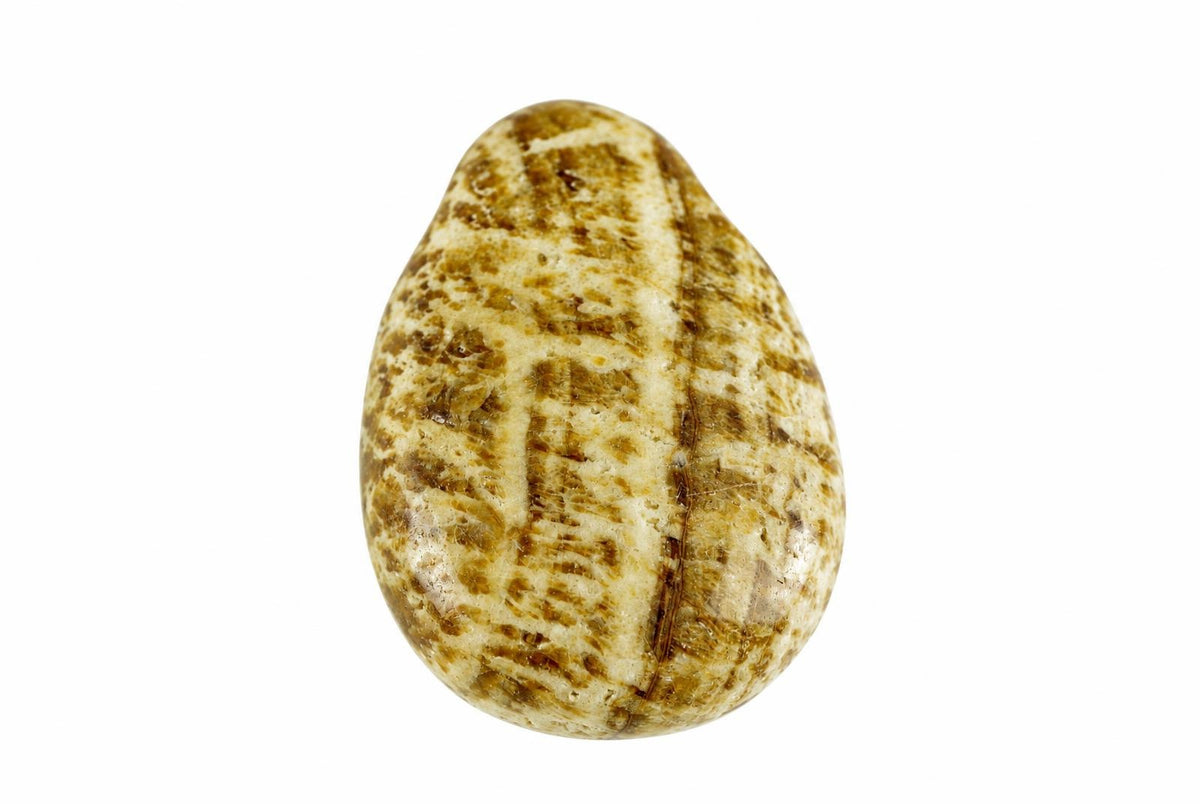A polished, teardrop-shaped stone pendant with a creamy base and dark brown veining on a white background.