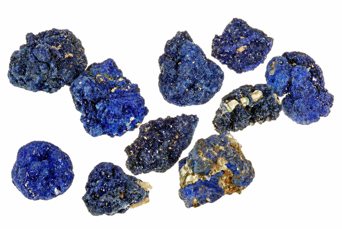 A collection of rough, deep blue azurite mineral specimens with lighter speckles on a white background.