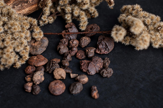 Dried brown, wrinkled seeds or nuts scattered on a dark surface with dried beige flowers and a piece of wood.