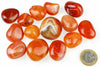 A collection of polished carnelian stones in shades of orange and red, with one banded specimen, arranged on a white surface next to a one euro coin.
