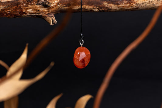 A polished, oval-shaped red-orange stone pendant hangs from a black cord on a silver bail, suspended against a dark background with blurred branches.