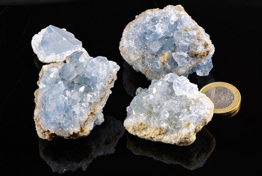 Rough celestite clusters with pale blue crystals and uneven beige edges sit beside a coin on a reflective black surface.