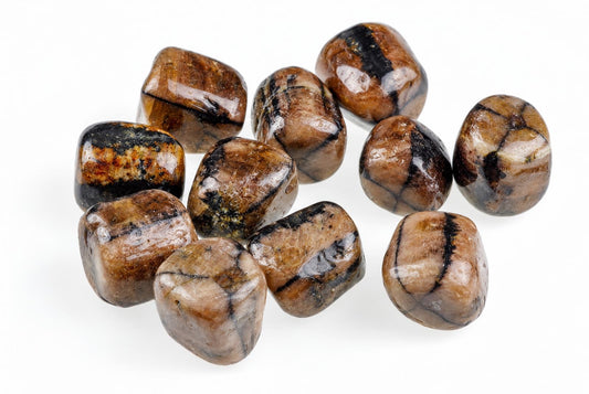 A group of polished Chiastolite stones with brown and black patterns on a white surface.