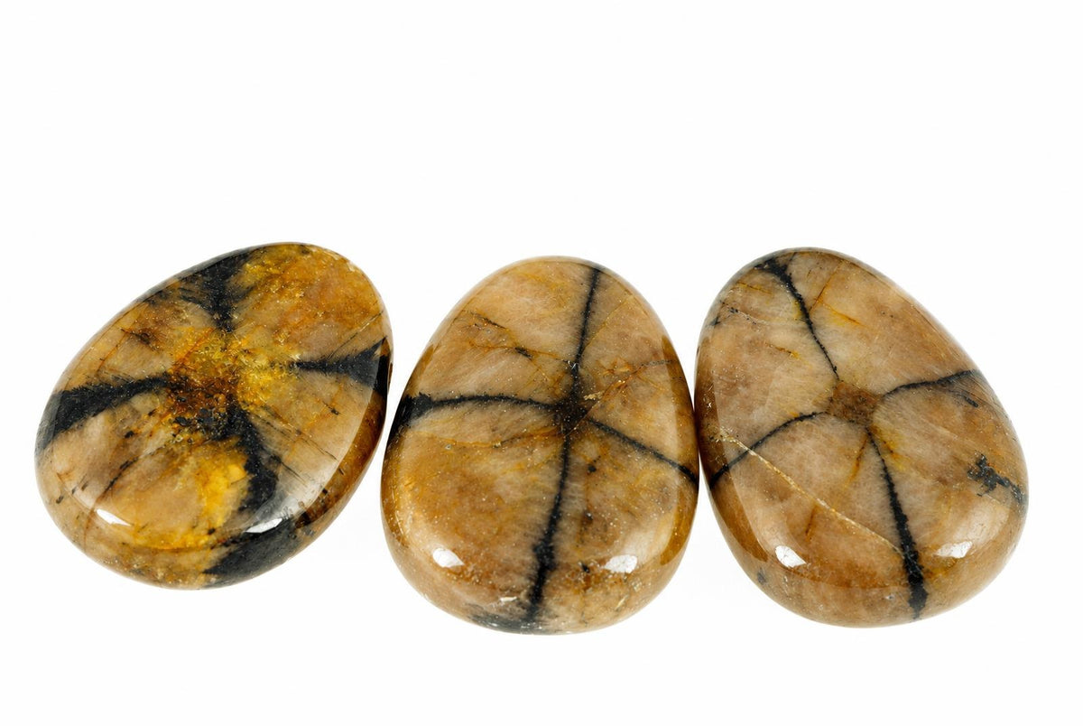 Three polished Chiastolite stones with black and yellow star patterns on a pale surface.