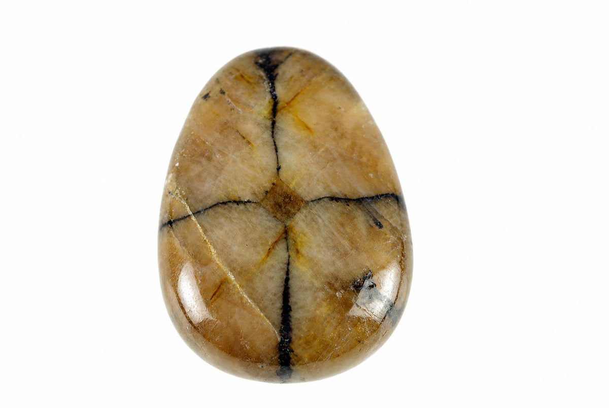 A polished Chiastolite pendant with a drop shape, featuring a pale brown surface and distinct black cross-shaped markings on a white background.