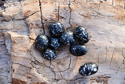 Seven polished black stones with white speckles rest on a cracked, pale wooden surface.