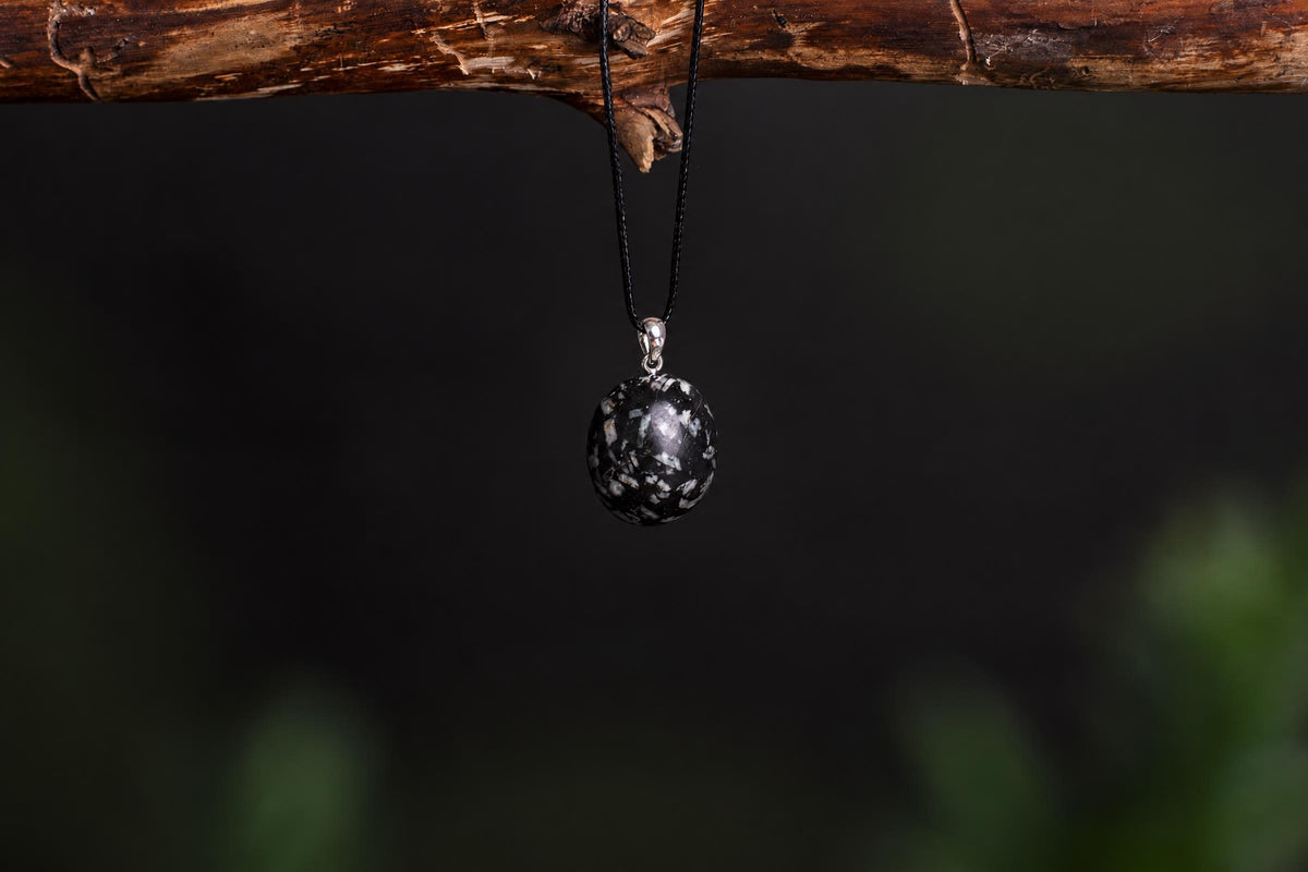 A round black pendant with white speckles hangs from a black cord on a wooden branch against a dark background.
