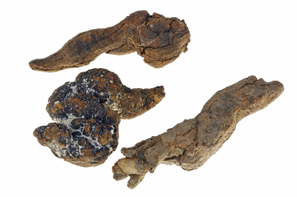 Three irregular, brownish-black lumps with rough textures and white patches on a plain white background.