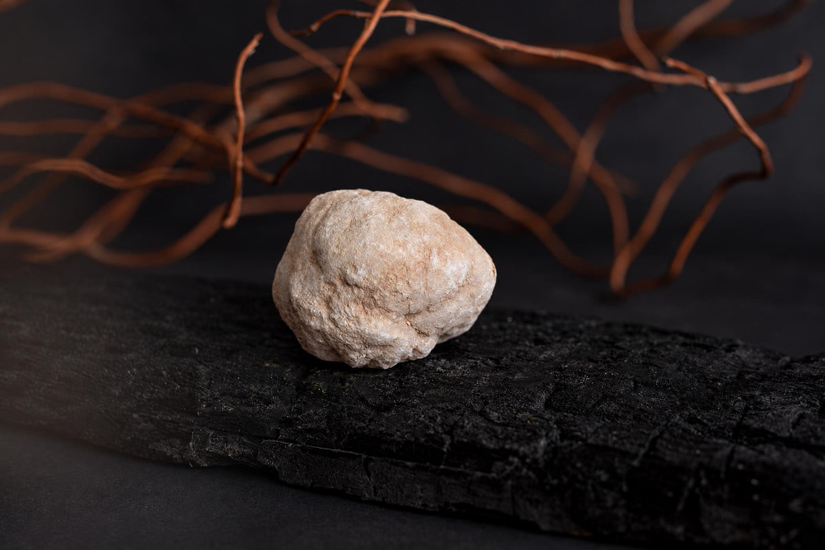 A light-coloured, lumpy stone rests on a dark wooden surface with brown twigs in the background.