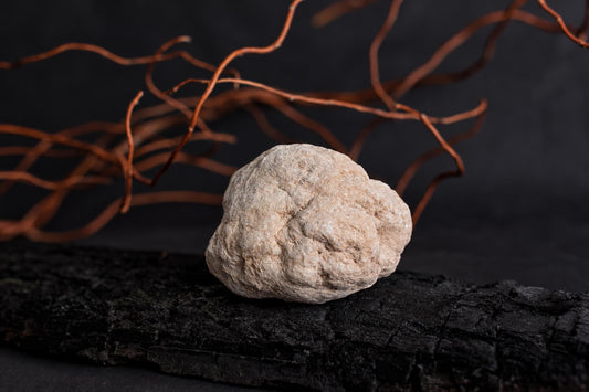 A rough, rounded beige geode rests on a dark textured surface with bare branches behind it.