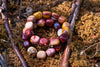 Overlapping loops of a polished, rounded bead bracelet in burgundy, mustard yellow, pink and cream, with varied natural markings, resting on brown moss among twigs in sunlight.
