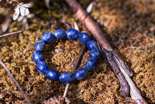 Blue oval-bead bracelet with pale mottled markings arranged in a loop on golden-brown moss among twigs, viewed obliquely from above.