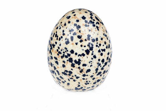 A speckled egg-shaped object with a cream base and dark blue spots, resting on a white surface.