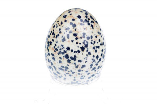 Dalmatian jasper egg – 50mm
