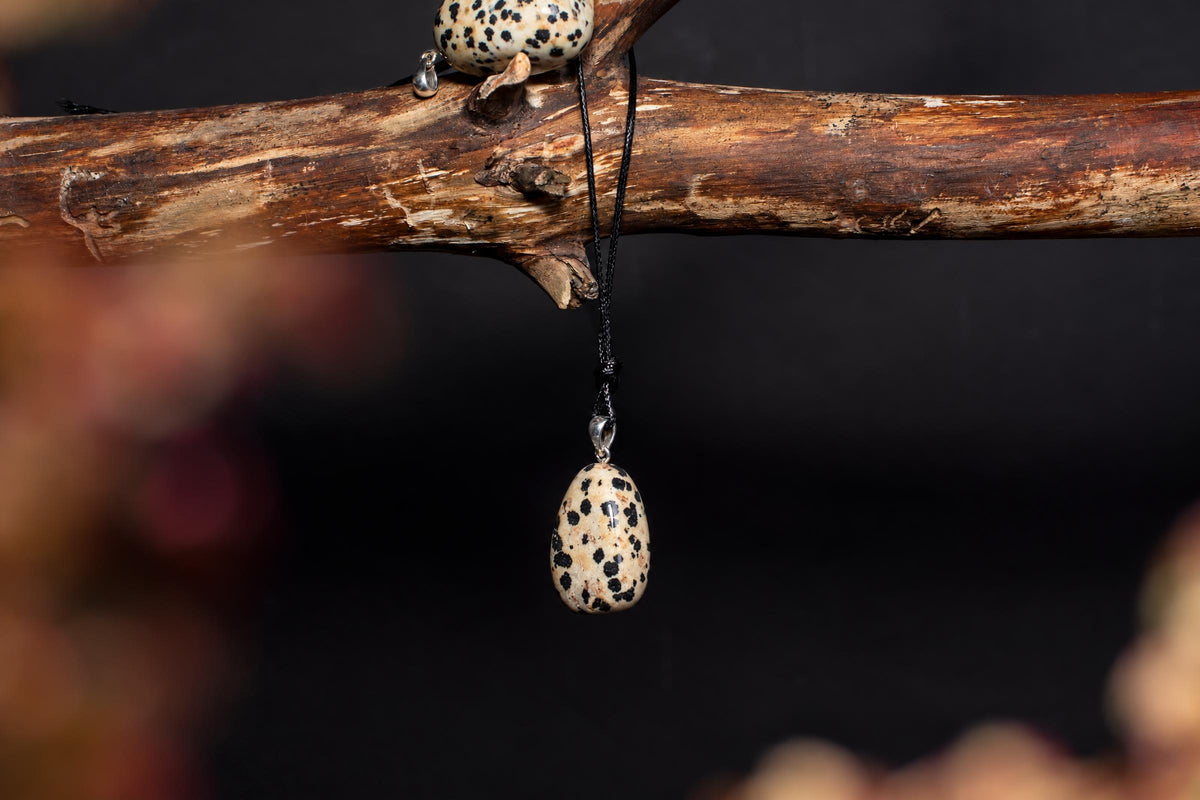 A cream-colored stone pendant with black spots hangs from a black cord on a dark wooden branch.