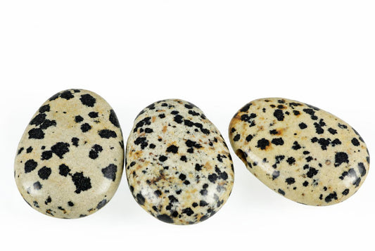 Three polished Dalmatian Jasper stones with black spots on a pale surface, arranged horizontally on a white background.