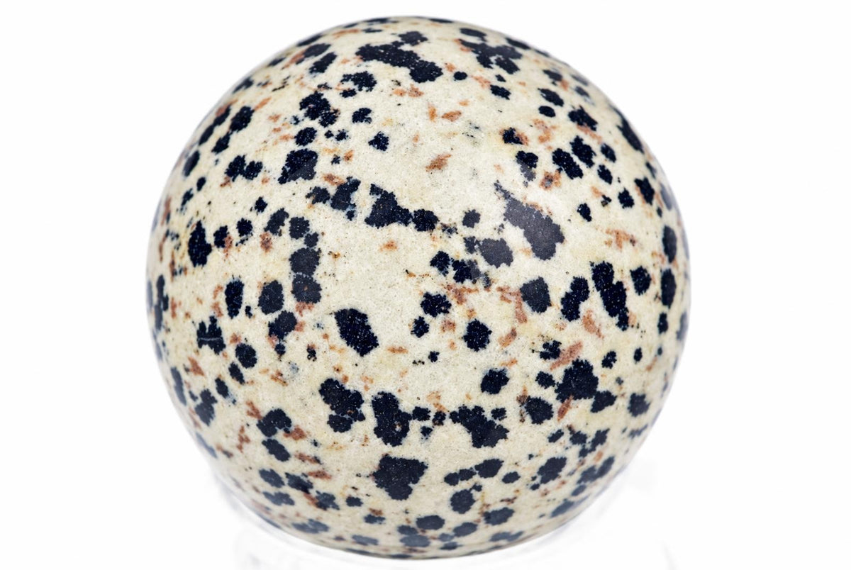 A polished Dalmatian jasper sphere with a cream background and black spots, resting on a white surface.