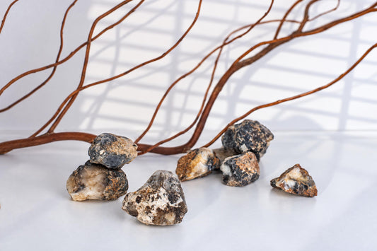 Several rough, multi-colored stones with black and white patterns rest on a pale surface near brown branches.