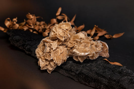 A cluster of desert rose stone with layered, tan crystals rests on a dark surface surrounded by dried leaves.