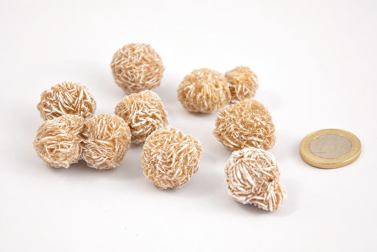 Beige rosette-shaped stone clusters with layered ridges rest on a pale surface beside a coin.
