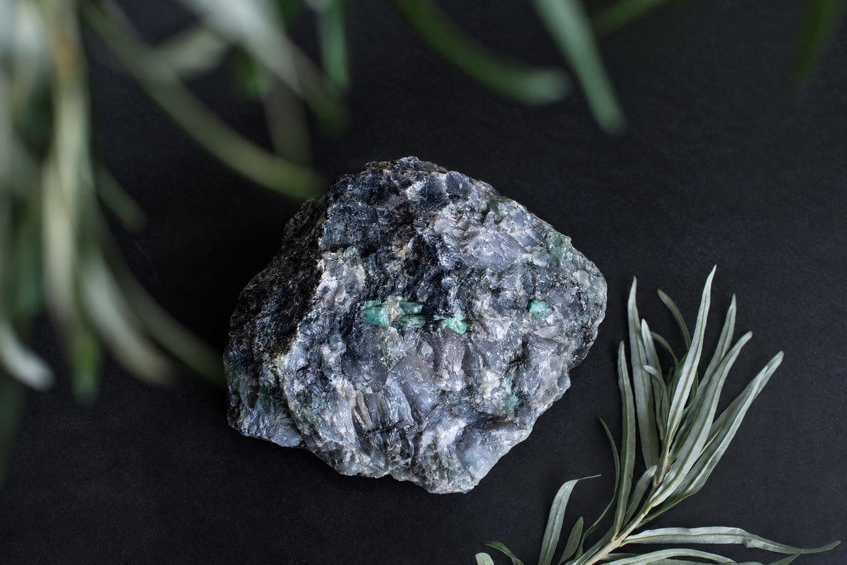 A rough, grey and black mineral specimen with small green crystals rests on a dark surface beside green foliage.