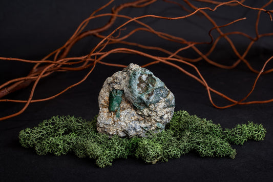 A rough, greyish-green mineral specimen with a visible green crystal sits on green lichen against a dark surface and brown branches.