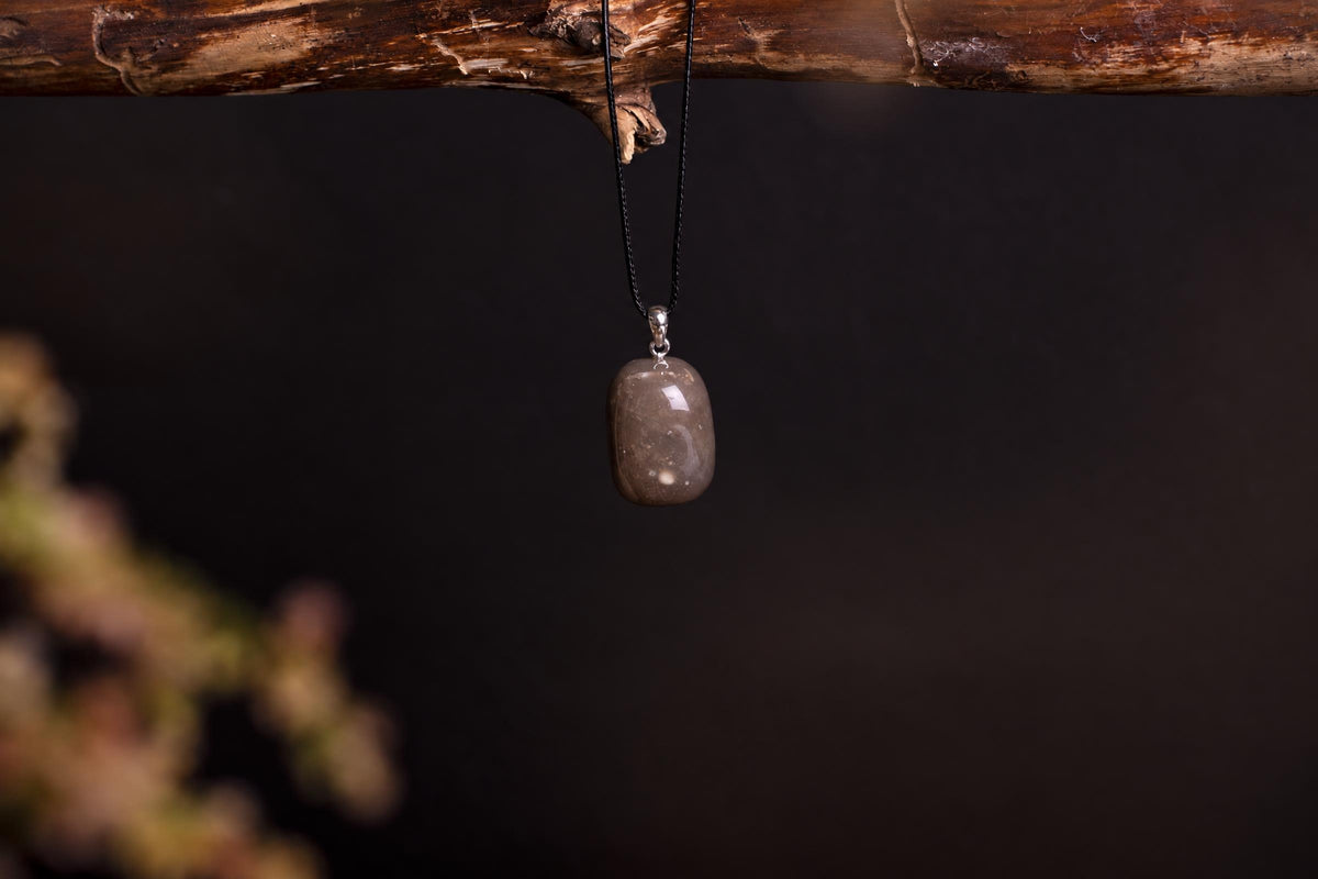 A polished, brownish-grey stone pendant hangs from a black cord on a dark wooden branch against a dark background.