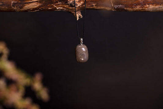 A polished, brownish-grey stone pendant hangs from a black cord on a dark wooden branch against a dark background.
