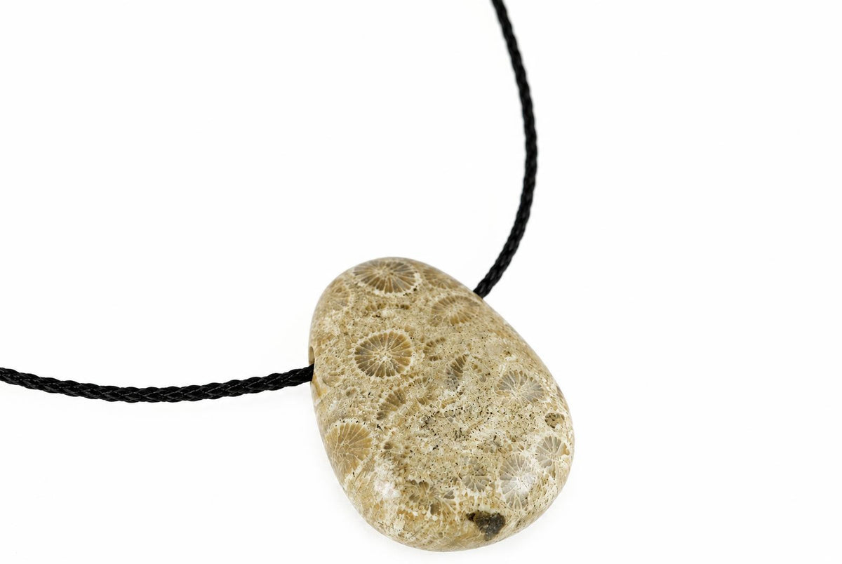 A pendant with a smooth, oval-shaped fossilized coral stone featuring circular patterns on a pale surface, threaded onto a black cord against a white background.
