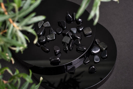 Polished black stones rest on a glossy black circular surface, surrounded by green foliage against a dark background.