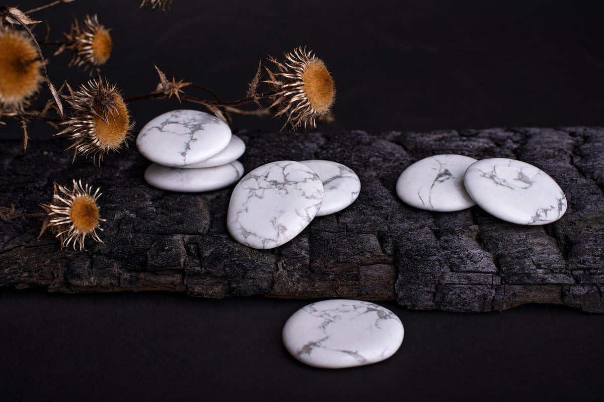 Several white palmstones with grey veining rest on a dark wooden surface, accompanied by dried thistle heads against a black background.