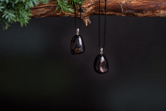 Two dark, polished stone pendants hang from black cords on a wooden branch with green foliage against a dark background.