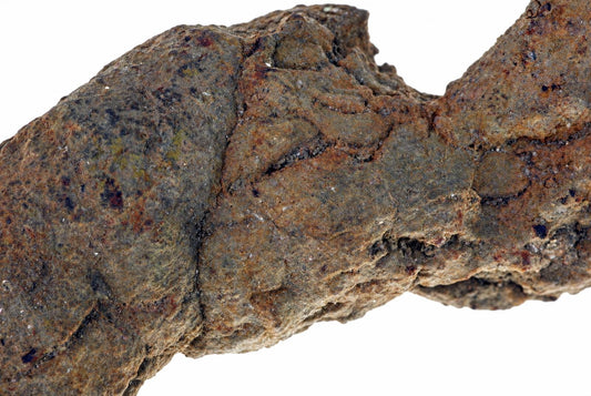 A close-up of a rough, brownish rock with dark spots and cracks against a white background.