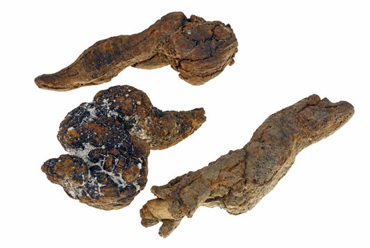 Three irregular, dark brown and black lumps with rough textures on a white background.