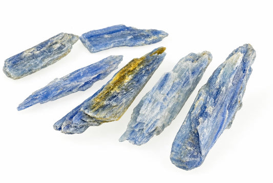 Six raw kyanite crystals on a white surface, showing blue and grey streaks with one piece having gold-coloured inclusions.