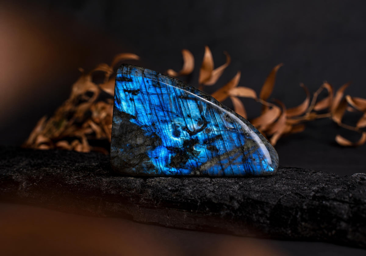 A polished, triangular Labradorite stone with vibrant blue and black iridescent patterns rests on a dark surface.