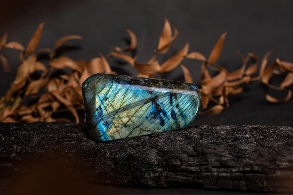 A polished labradorite stone with blue and gold-colored flashes and dark intersecting lines rests on textured wood in front of dried leaves.