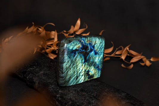 A polished, square Labradorite stone with blue and green iridescence rests on a dark surface beside dried leaves.