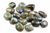 A collection of polished Labradorite stones with iridescent blue and green flashes on a white background.
