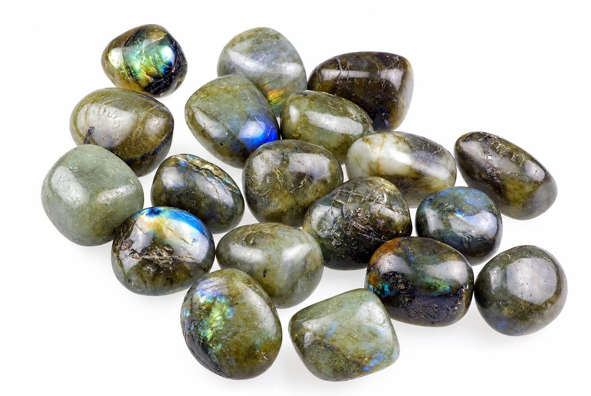 A collection of polished Labradorite stones with iridescent blue and green flashes on a white background.