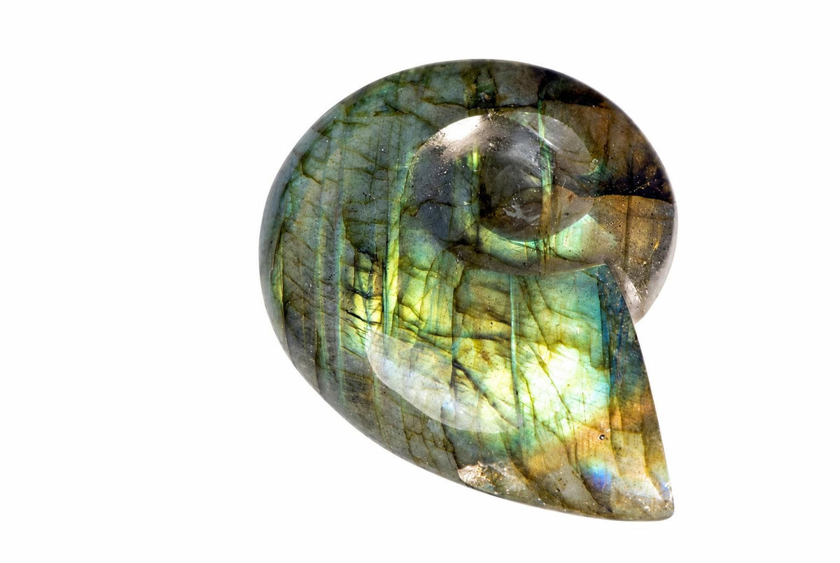 A polished spiral labradorite pendant shows green and yellow iridescent patches crossed by dark lines against a white background.