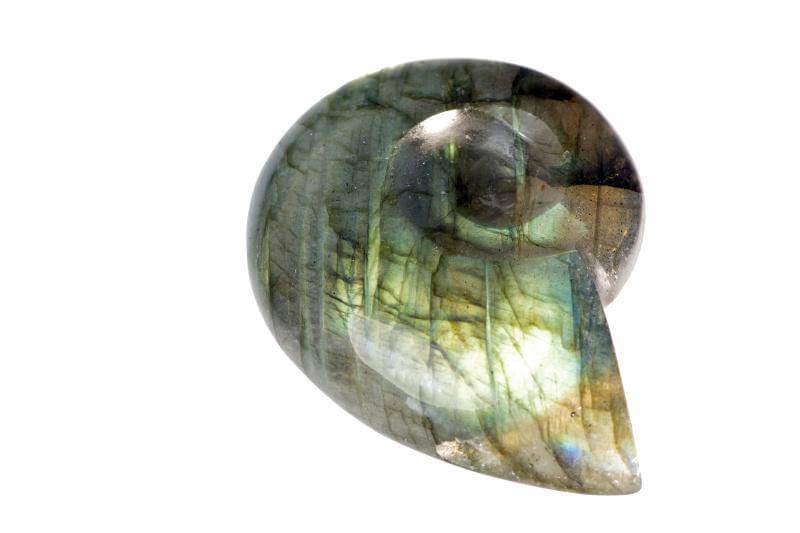 Labradorite ammonite pendant – Unique