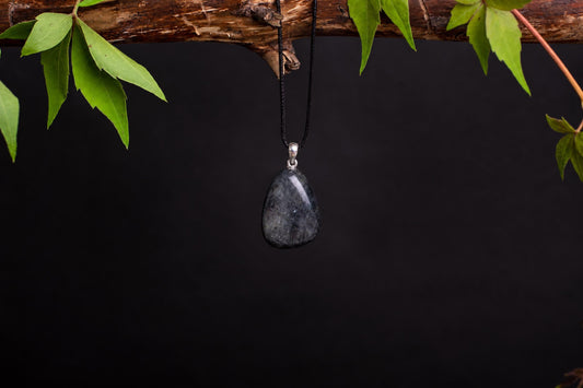 A teardrop-shaped pendant with a dark, speckled stone hangs from a black cord on a wooden branch against a dark background.