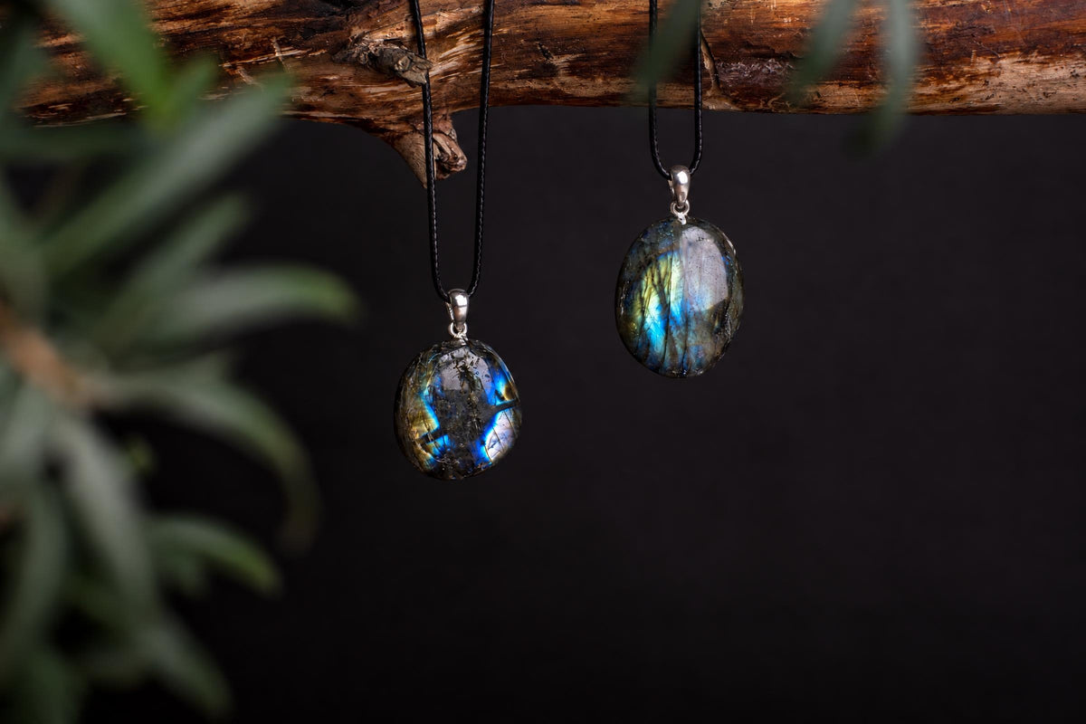 Two Labradorite pendants with silver-toned settings hang from black cords on a wooden branch against a dark background.