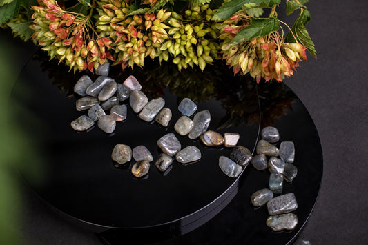 Polished Labradorite stones in grey and iridescent hues rest on a dark, reflective surface beneath green foliage.