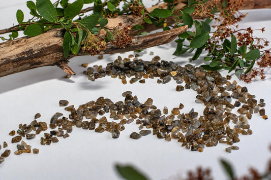 Small brown and gray stone chips are scattered across a white surface beneath a leafy branch with clusters of dried flowers.