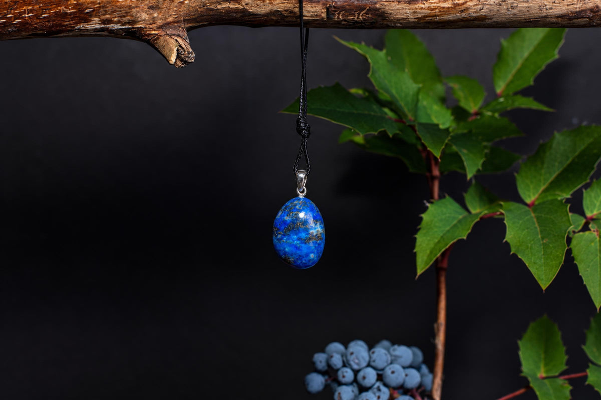 A blue oval stone pendant with pale flecks hangs from a black cord beneath a branch, beside green leaves against a dark background.