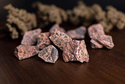 Several pieces of leopardite jasper with pink and dark spots rest on a dark wooden surface, with blurred dried plants in the background.