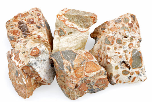 Five rough pieces of leopardite jasper with a light matrix and embedded orange, brown, grey, and green mineral spots on a white background.