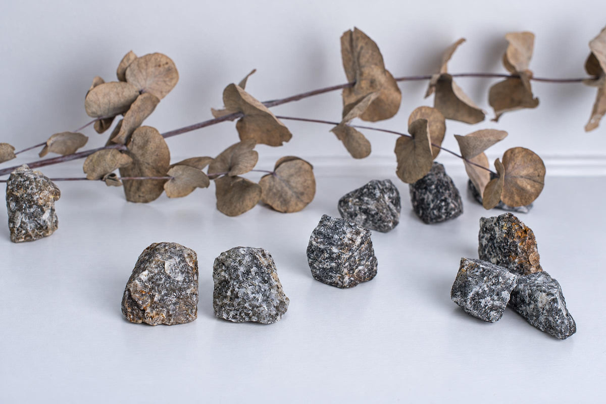 Several grey and white speckled raw stones are arranged on a pale surface, with dried brown leaves in the background.